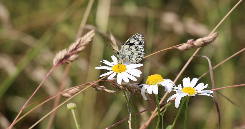 Nicht alleine sein mit seiner Krebsdiagnose (Foto: Eva Maria Wiegand)