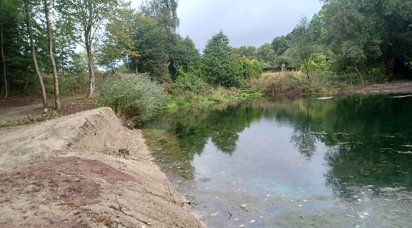 Der Teich in Stempeda (Foto: Landschaftspflegeverband)
