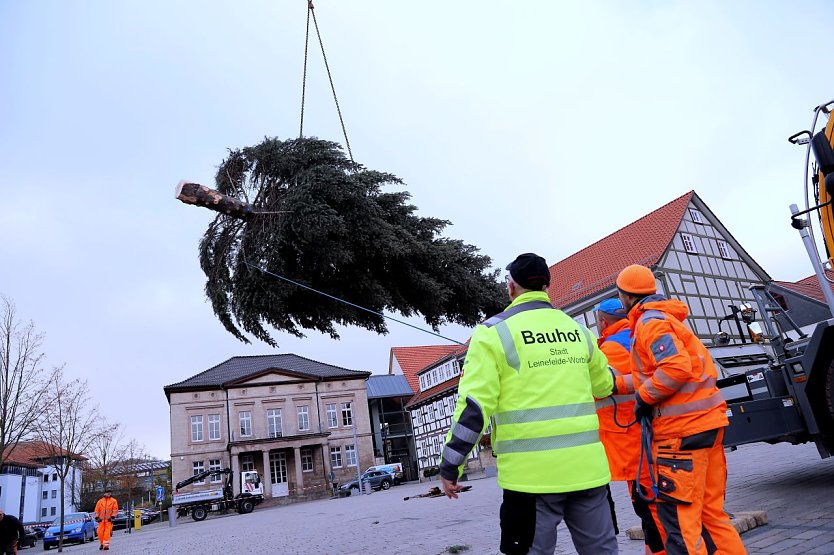 Eine rund 14 Meter hohe Tanne schmückte vor zwei Jahren den Friedensplatz in Worbis. Mit Hilfe eines Schwerlastkrans wurde der Baum durch den Bauhof an seinen Platz manövriert. (Foto: René Weißbach)