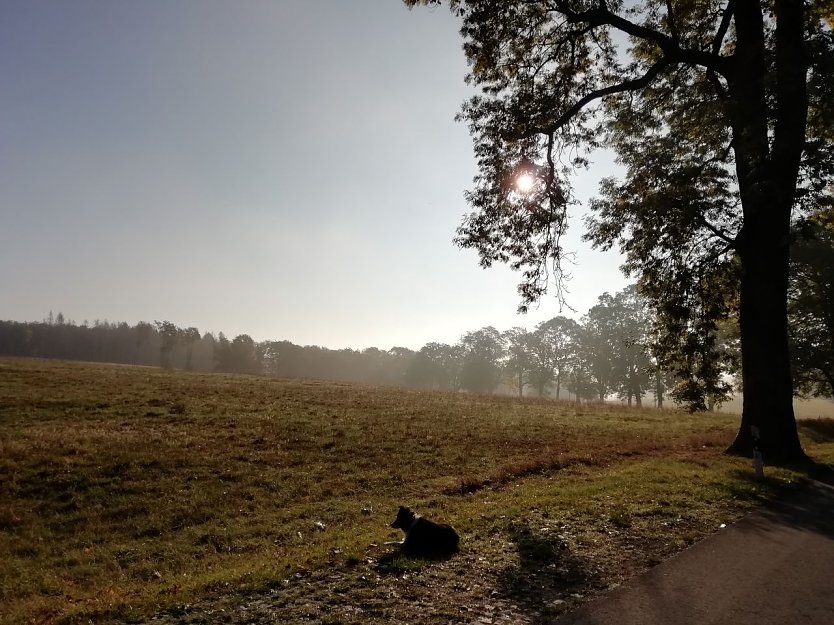 Einen malerischen Herbstmorgen hat Herr Jörgens heute in Sophienhof festgehalten (Foto: W. Jörgens)