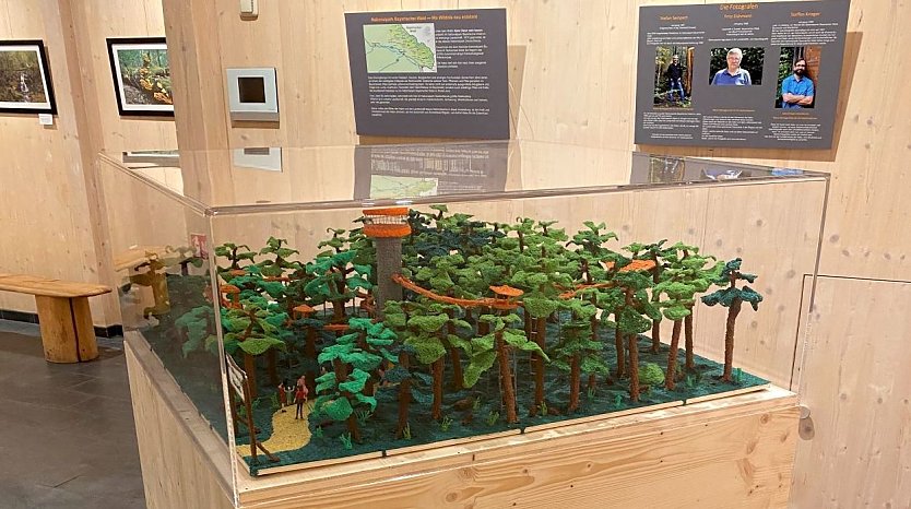Das 3D-Modell des Baumkronenpfades in der Hainich-Erlebniswelt (Foto: © KTL Kur und Tourismus Bad Langensalza GmbH)