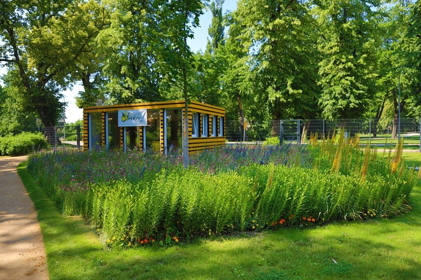 Während der Gartenschau wird es in Leinefelde viele verschiedene Themenfelder zu entdecken geben.  (Foto: René Weißbach)