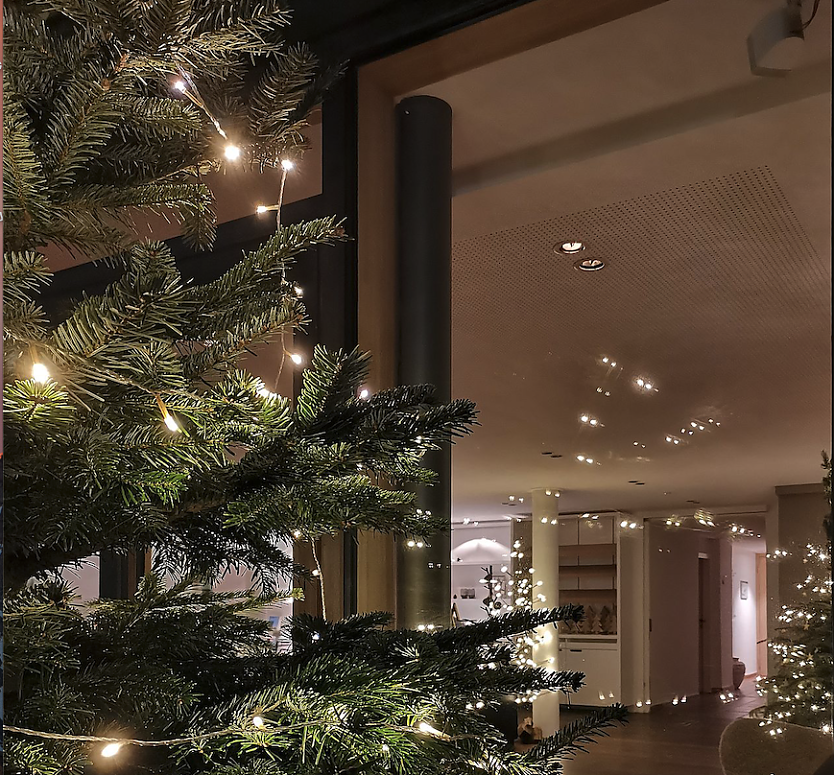 Weihnachtliche Beleuchtung stellt laut dem Bundesverband der Weihnachtsbaum- und Schnittgrünerzeuger keinen Treiber der Energiekrise dar (Foto: BWS/KOLLAXO)