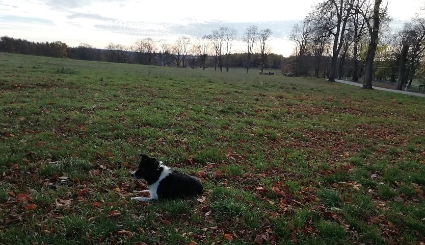 Sophienhof im Harz meldet heute Morgen 10 Grad und bestes Wanderwetter (Foto: W.J&ouml;rgens)