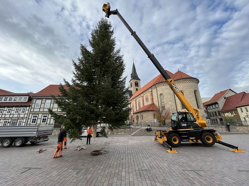 Nur mit schwerem Gerät des städtischen Bauhofes war es möglich, den Baum auf dem Worbiser Friedensplatz aufzustellen.  (Foto: René Weißbach       )