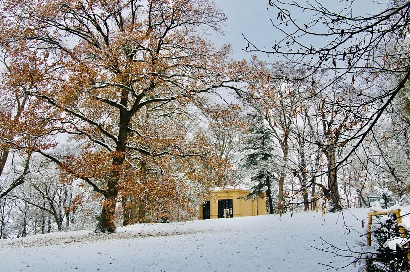 Winterimpression aus dem Park Hohenrode in Nordhausen (Foto: agl)