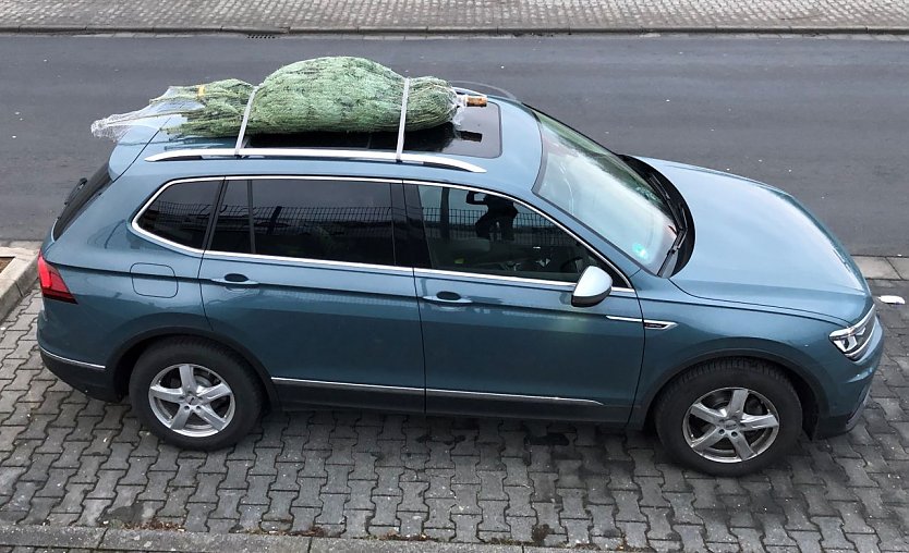 Weihnachtsbaumtransport auf dem Autodach (Foto: ADAC)