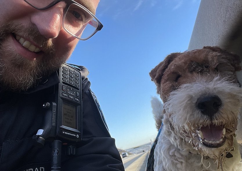 Ein Hund retteten die Beamten heute früh auf der A 4 (Foto: Autobahnpolizei)