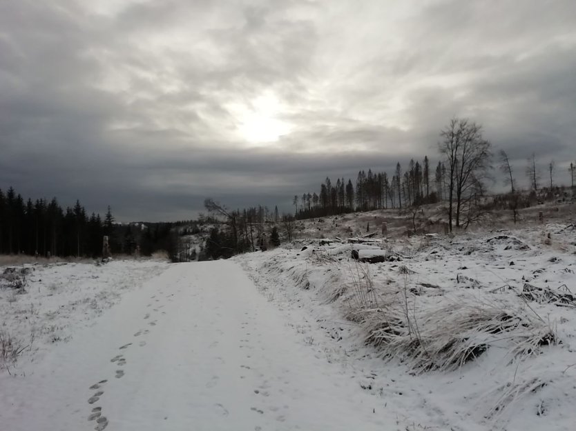 Schneebedeckt und wolkenverhangen zeigt sich der Harz bei Sophienhof (Foto: W. Jörgens)