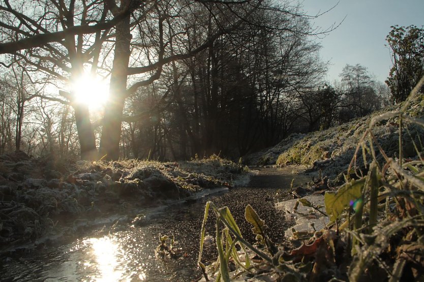 Wetterbild (Foto: agl)