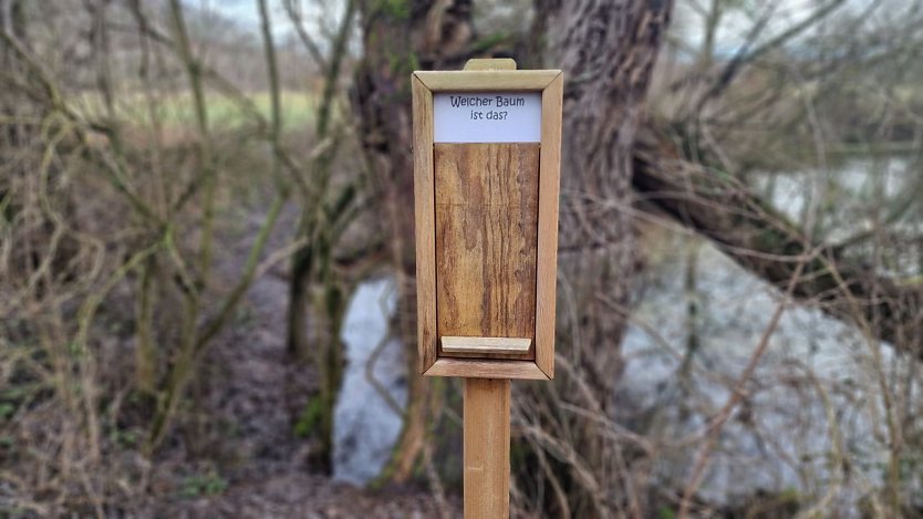 Das ist einzig noch erhaltene Frage-Tafel (Foto: nnz)