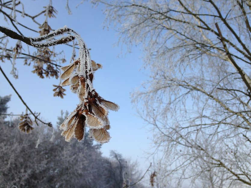 Wetterbild (Foto: nnz)