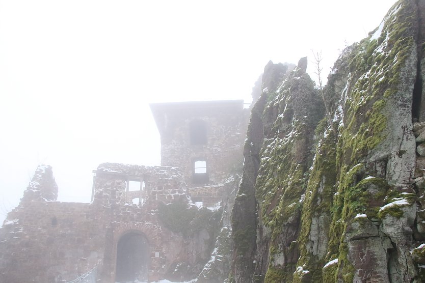 Die Burgruine Hohnstein in Winterkleid und Nebel (Foto: agl)