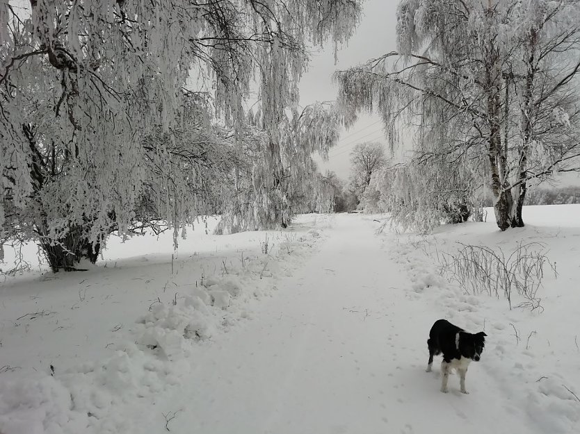 Weiße Pracht im Südharz (Foto: W. Jörgens)