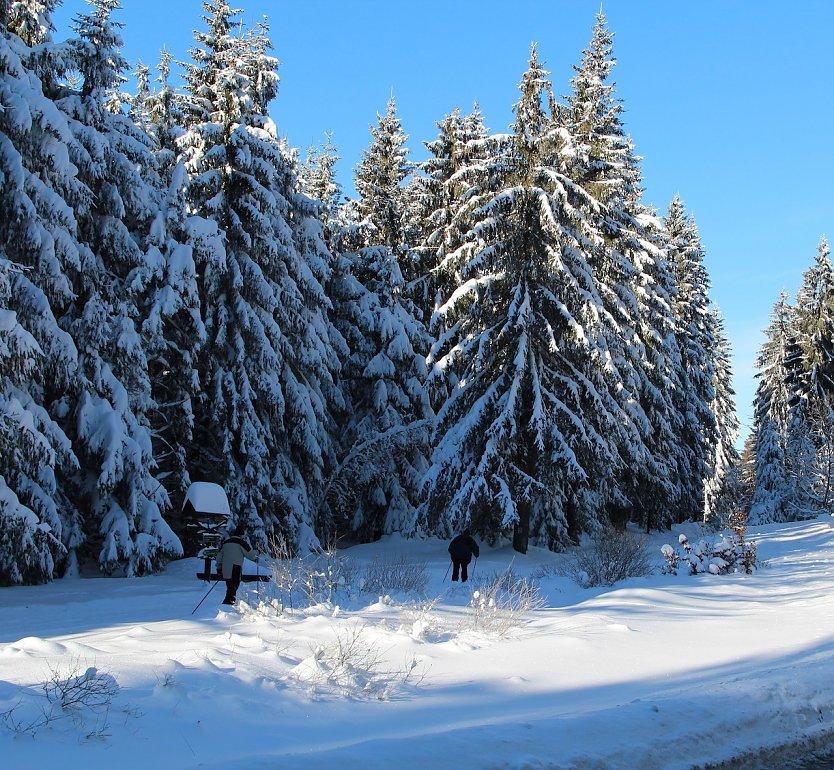 Skilangläufern steht in Thüringen ein 878 Kilometer umfassendes Loipennetz zur Verfügung. (Foto: Dr. Horst Sproßmann)