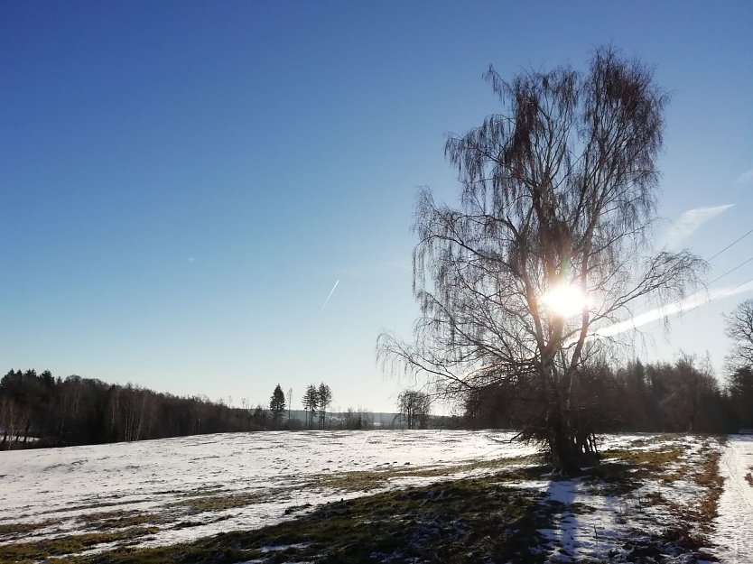 Frostig frisch und klar im Harz (Foto: W. Jörgens)