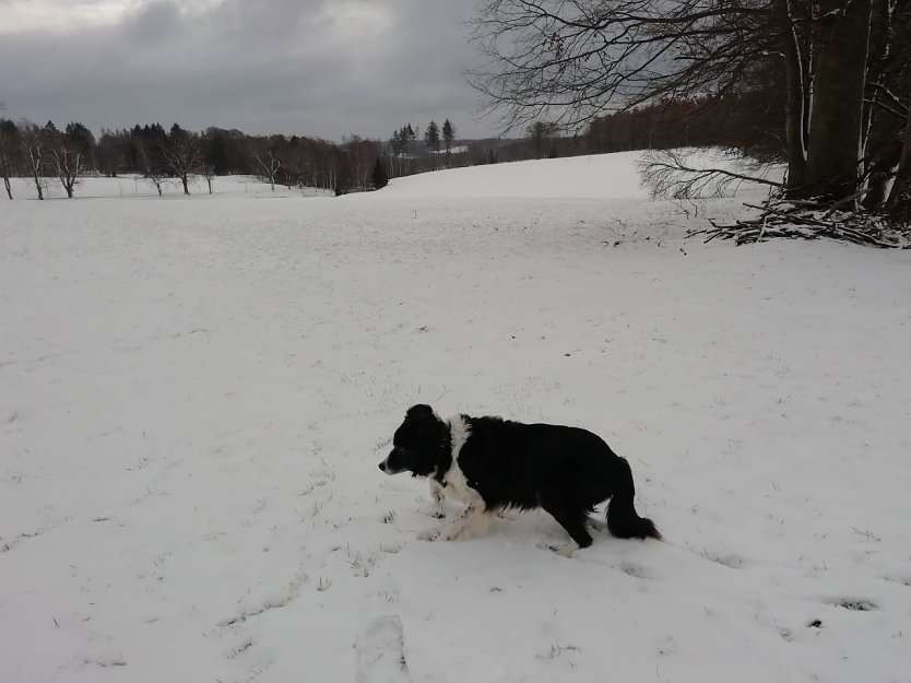 Der Winter hat Sophienhof noch fest im Griff (Foto: W. Jörgens)
