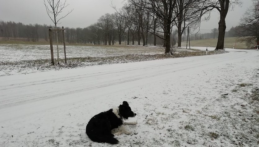 Leichten Schneefall bei 0 Grad meldet heute Sophienhof (Foto: Wolfgang Jörgens )