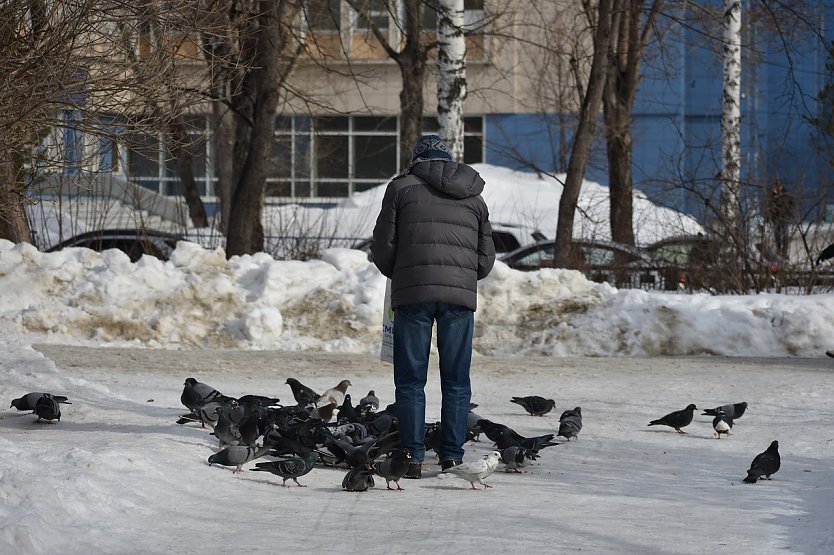 Tauben füttern (Foto: skorchanov)