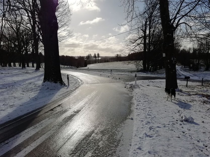 In Sophienhof ist der Winter noch einmal zurückgekehrt (Foto: W. Jörgens)