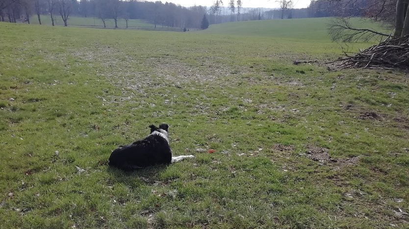 Null Grad und windig heute Morgen in Sophienhof (Foto: W.J&ouml;rgens)