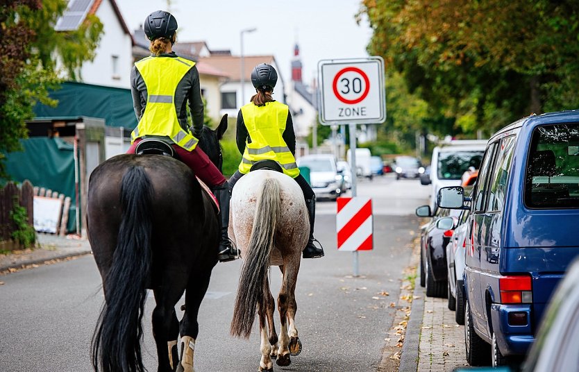 Für Reiter gelten im Straßenverkehr die gleichen Vorschriften wie für Autofahrer (Foto: Steve Bauerschmidt)
