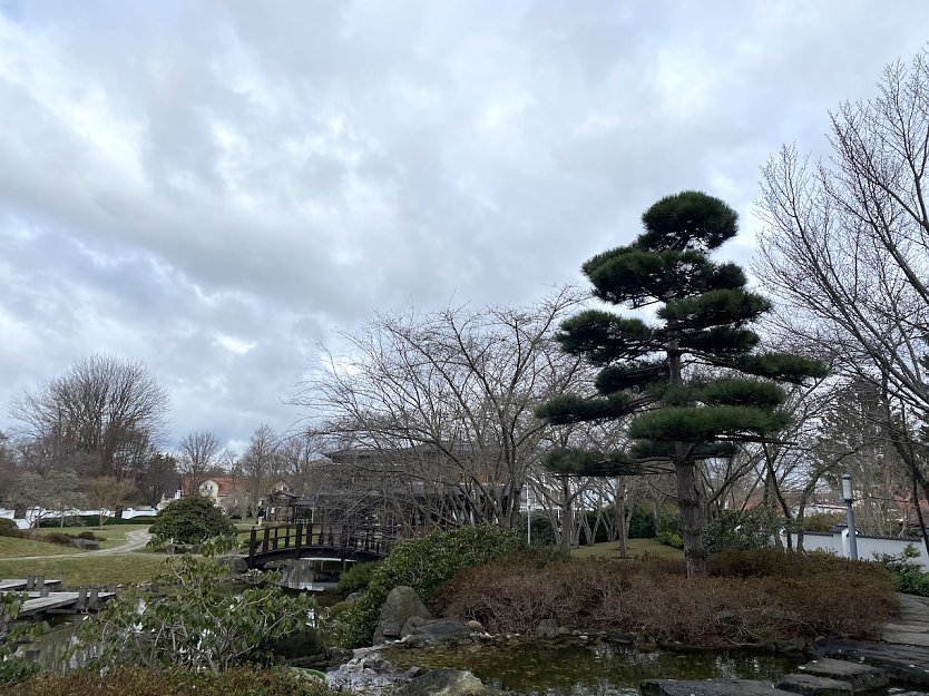 Stürmisches Wetter auch im Japanischen Garten Bad Langensalzas (Foto: oas)