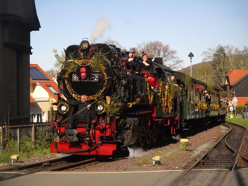 99 7247-2 bei der Einfahrt in Wernigerode Hasserode am 30.04.2023. Sie fährt mit dem Walpurgiszug von Wernigerode nach Schierke (Foto: Bernd Thielbeer)