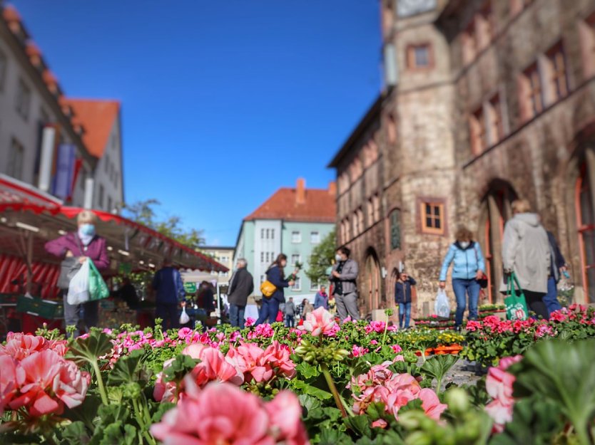 Am Samstag lockt der Geranienmarkt auf dem Nordhäuser Rathausplatz (Foto: Deutsche Marktgilde)