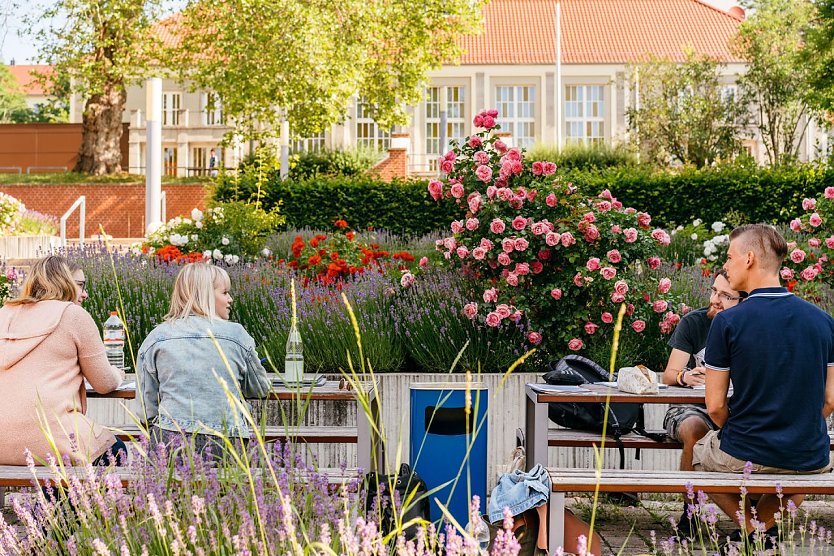 Die Hochschule Nordhausen bietet ab sofort zwei Orientierungssemester an  (Foto: HSN)