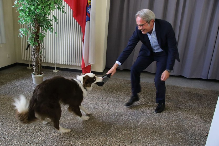 Zur Not tut's auch der Innenminsiter: nach getaner Arbeit darf sich Kevin ein wenig austoben (Foto: agl)