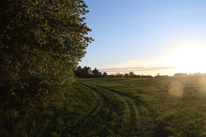 Wetterbild (Foto: agl)