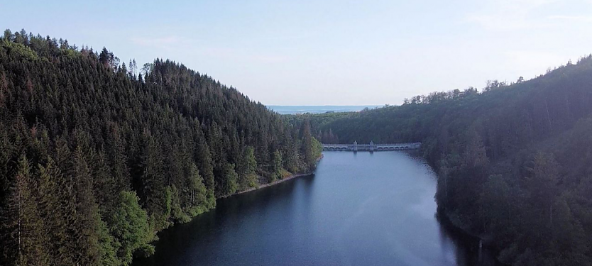 So grün wie auf dieser Aufnahme von Peter Blei ist es rund um die Neustädter Talsperre zwar nicht mehr, aber die Wasserstände sind für den kommenden Sommer im Rahmen (Foto: Peter Blei)