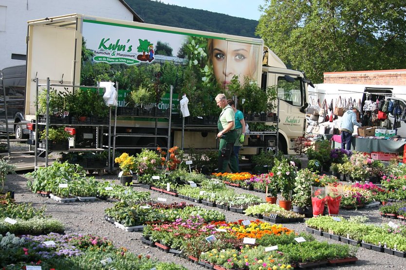 Der Maibauernmarkt in Kelbra startet am 20. Mai (Foto: Ulrich Reinboth)