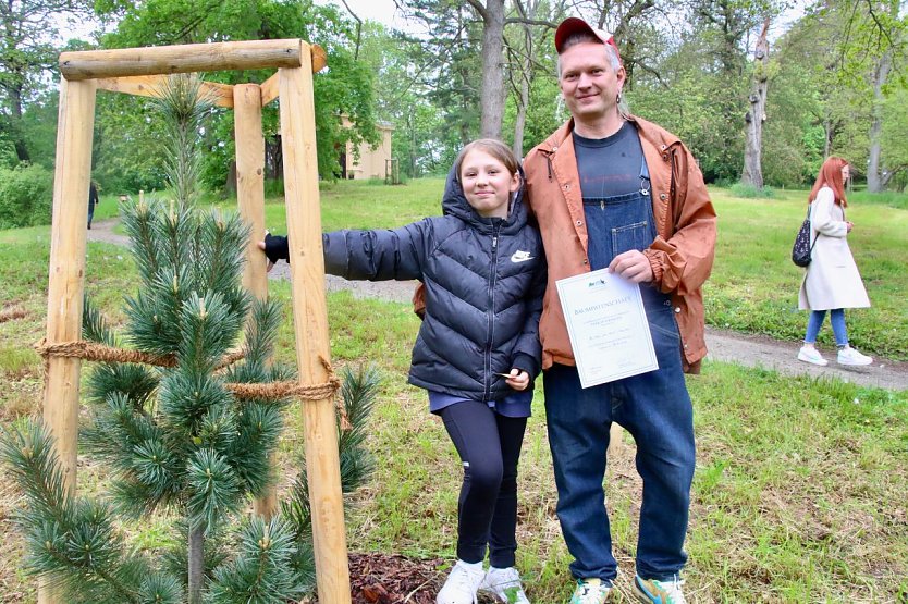 Nils Weißenborns "Weymouth Kiefer" ist schon jetzt größer als das Töchterchen (Foto: agl)