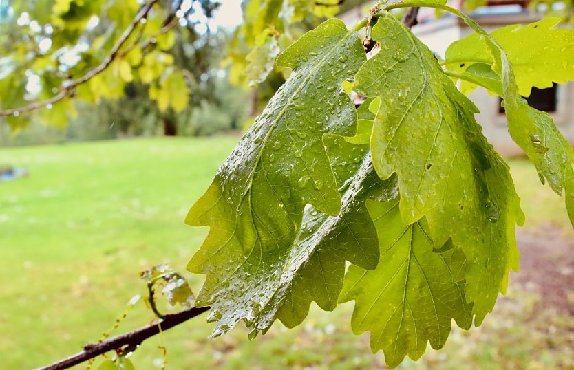 Wetterbild (Foto: agl)