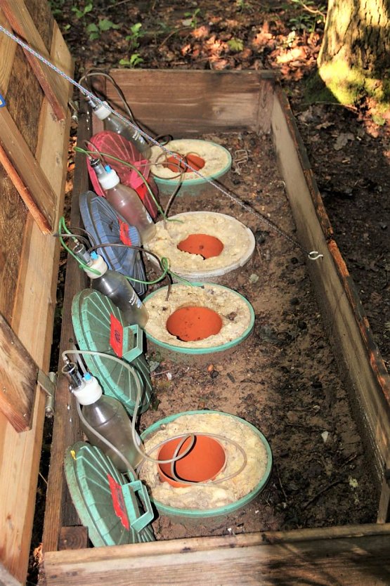 Die Technik zur Erfassung des Wassergehaltes von Waldböden in verschiedenen Tiefen ist Teil des Waldmessstationen-Netzes der Landesforstanstalt und liefert seit Jahren zuverlässige Daten für die Waldforschung (Foto: Dr. Horst Sproßmann)