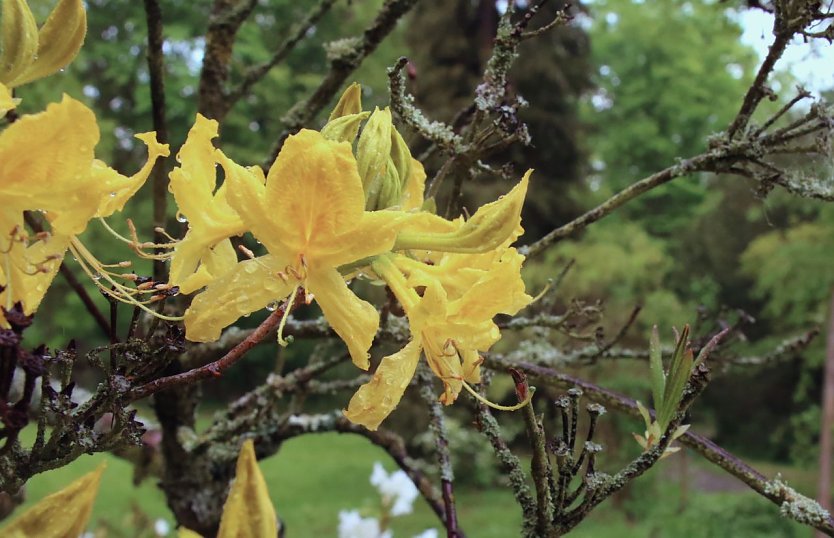 Wetterbild (Foto: agl)