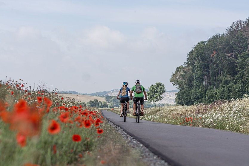 Die Stadt lädt zur Radtour auf die Wetterfahne (Foto: Christian Schelauske)