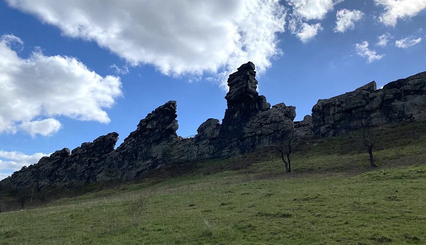 Teufelsmauer bei Weddersleben (Foto: oas)