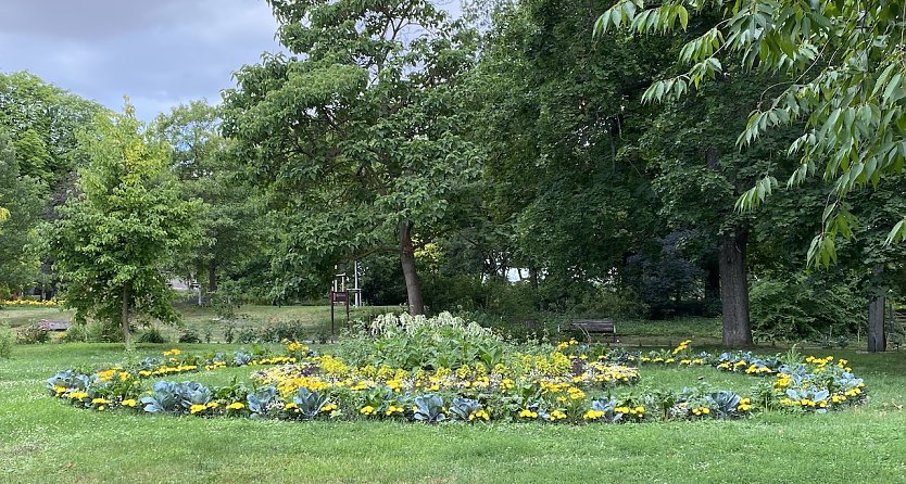 Arboretum Bad Langensalza (Foto: oas)