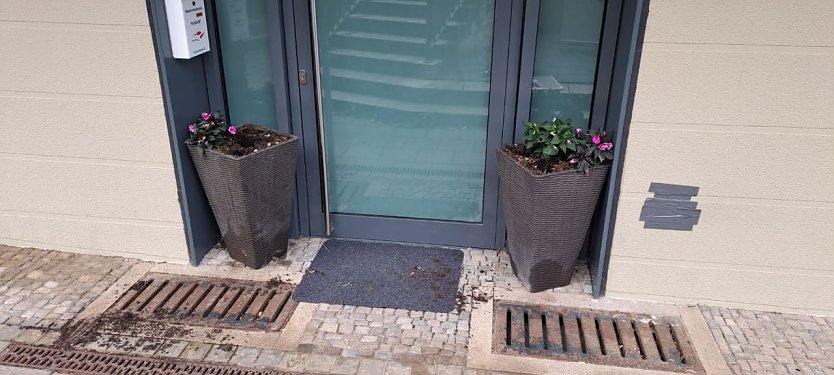 Vor der Hebammenpraxis "RUNDUM" werden immer wieder Blumen gestohlen (Foto: Christiane Dörnbrack)