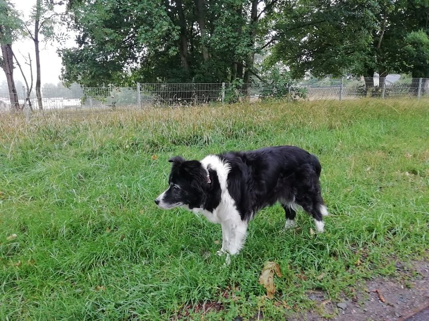 17 Grad und bewölkt - in Sophienhof ließ das schlechte Wetter heute morgen noch auf sich warten (Foto: W. Jörgens)