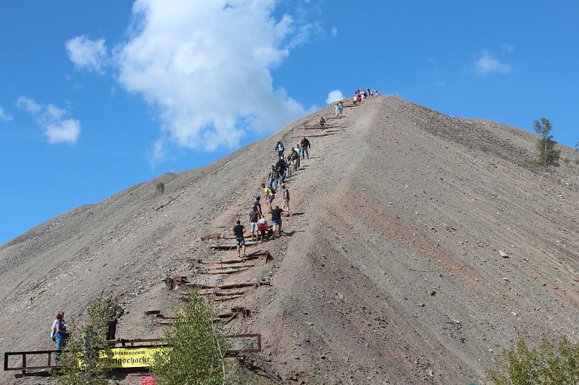 Haldenbesteigung  (Foto: Rosenstadt Sangerhausen GmbH)