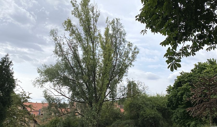 Weiterhin stürmisches Wetter (Foto: oas)