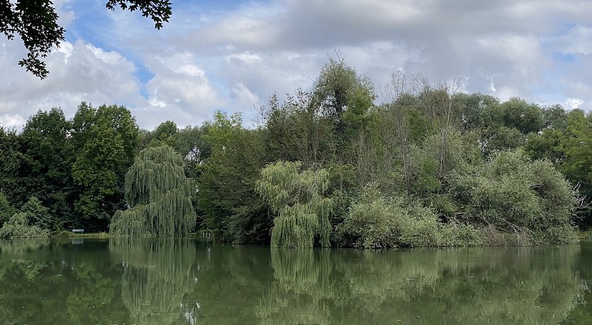 Böhmenteich bei Bad Langensalza (Foto: oas)