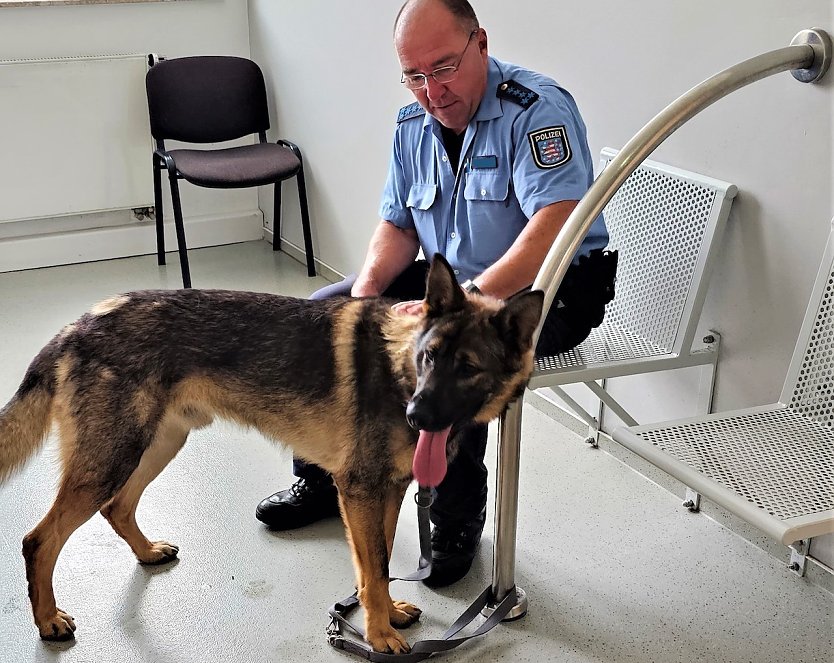 Berufsorientierung in der Praxis: "Kommissar Rex" begleitete die Beamten auf der Streife (Foto: Polizeiinspektion Kyffhäuser)