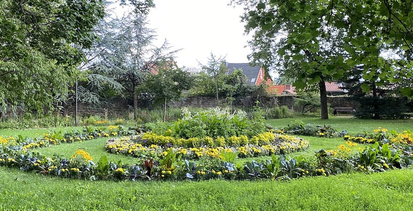 Ab morgen geht es mit den Temperaturen aufwärts (Foto: oas)