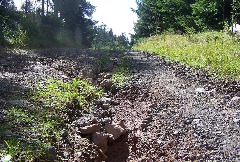 Starkniederschläge im August haben zur Rinnenbildung inmitten eines Waldweges geführt und die grobsteinige Tragschicht offengelegt. Hier ist eine aufwendige Wegeinstandsetzung erforderlich (Foto: Horst Sproßmann)