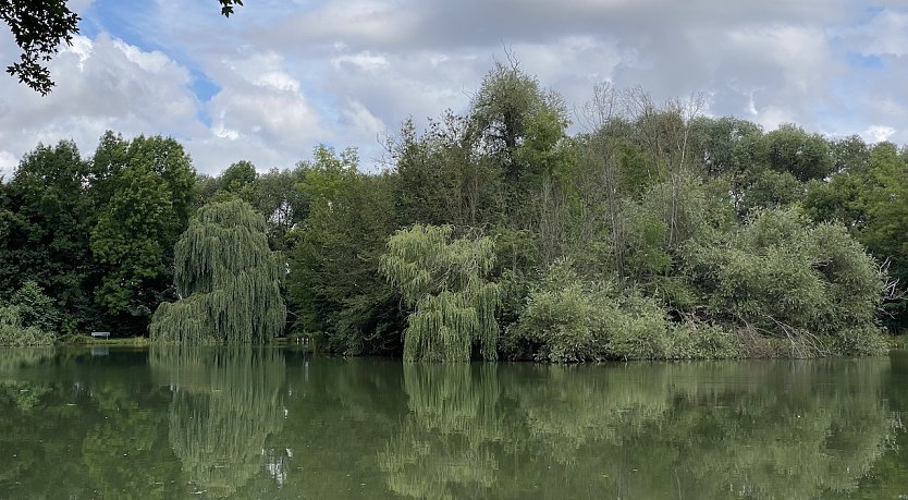 Der Sommer ist zurück (Foto: oas)